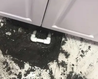 启东查漏水哪家好